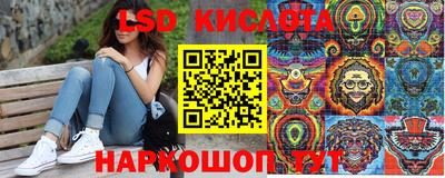 крисы Гусев