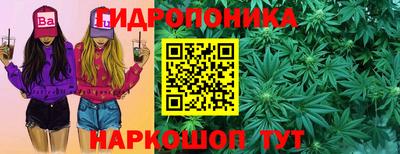 PSILOCYBIN Гусиноозёрск