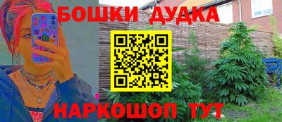 крисы Гусев
