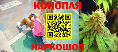 крисы Гусев