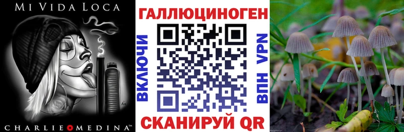 наркошоп кракен ССЫЛКА Псилоцибиновые грибы мицелий Кировск