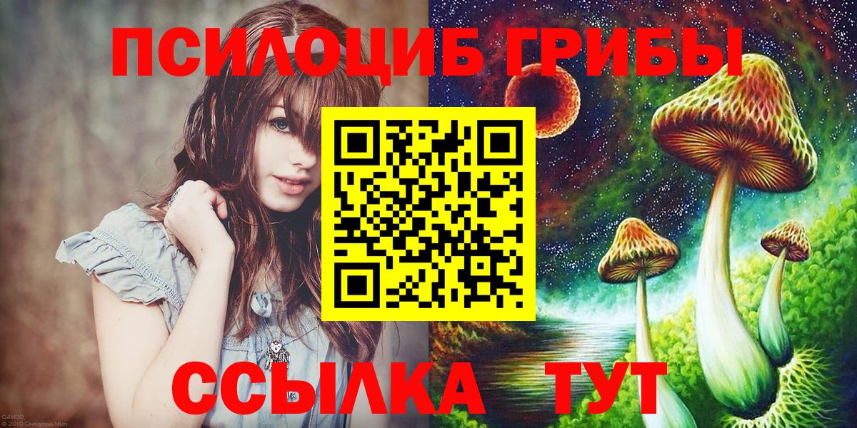 Псилоцибиновые грибы мицелий Кировск