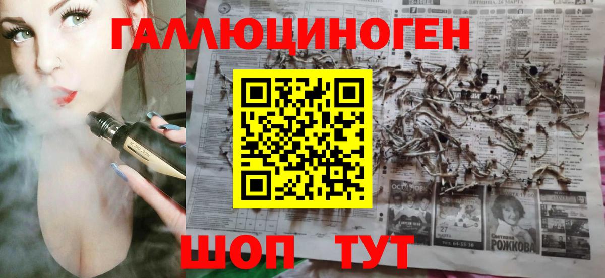 купить наркотики сайты  Галлюциногенные грибы GOLDEN TEACHER  Вход с VPN  Кировск 